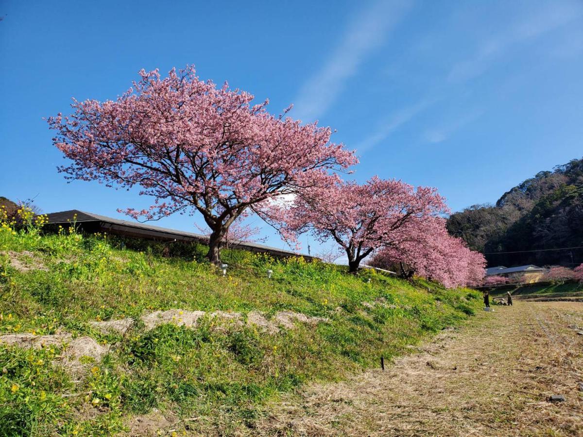 ペンション百万本のバラ "A Million Roses" Shimoda (Shizuoka) Exterior foto